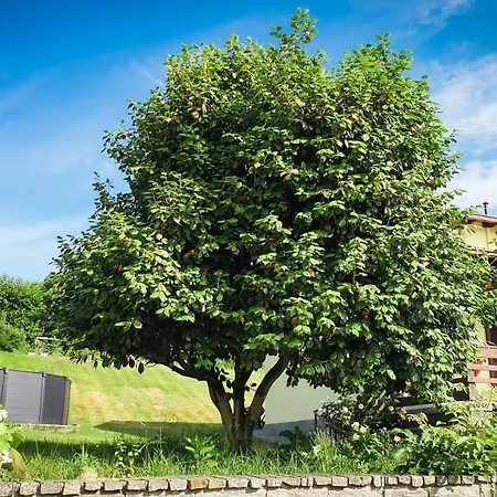 Gardenpark Soleil Nyaraló